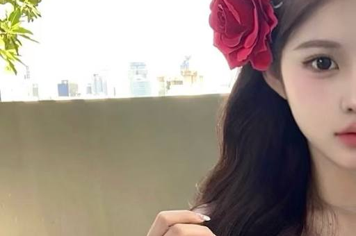 探索上海后花园的独特魅力，油压之城的秘密：上海后花园油压机厂家