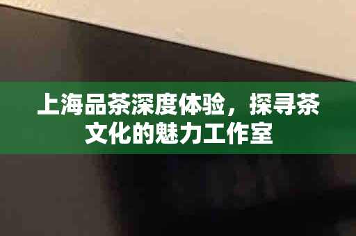 上海品茶之旅，专业工作室启航