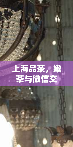 上海喝茶自带工作室体验：上海品茶海选工作室